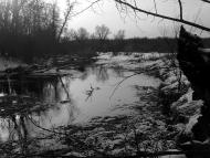 Торське з panoramio.com