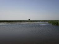 Лихачів з panoramio.com