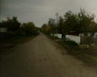 Грушка з panoramio.com