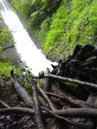 Терново з panoramio.com