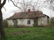 Тросник з panoramio.com