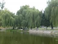 Славута з panoramio.com