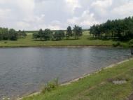 Ворвулинці з panoramio.com