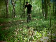 Турійськ з panoramio.com