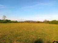 Великі Геївці з panoramio.com