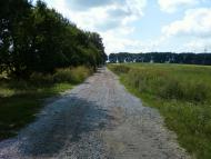 Сальник з panoramio.com