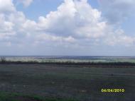 Миколаївка-Новоросійська - Останні фото