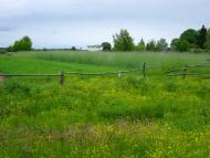 Жабоч з panoramio.com