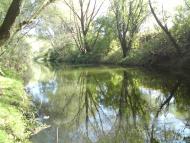 Дроговиж з panoramio.com