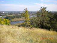 Чайки з panoramio.com