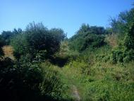 Новоселівка з panoramio.com