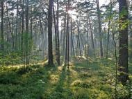 Червоне - Останні фото