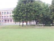 Грушка з panoramio.com