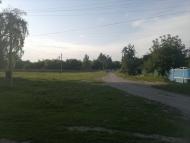 Семенівка з panoramio.com