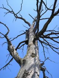 Рудня-Перганська з panoramio.com