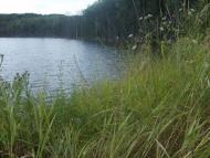 Лісна Поляна з panoramio.com