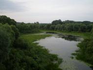 Пересипки з panoramio.com