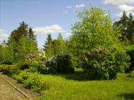 Оникієве з panoramio.com