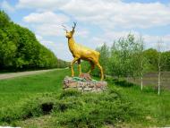 Оникієве з panoramio.com