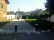 Панютине з panoramio.com