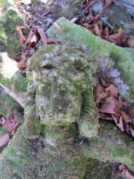 Поляна з panoramio.com