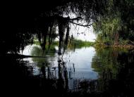 Стара Некрасівка з panoramio.com