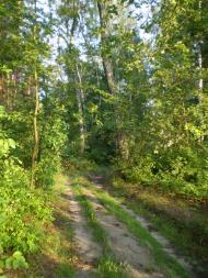 Пересипки з panoramio.com