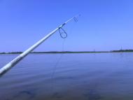 Колониці з panoramio.com