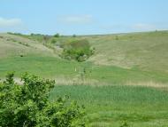 Дубове з panoramio.com