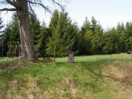 Біньова з panoramio.com