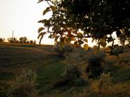 Братсько-Семенівка з panoramio.com