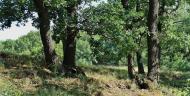 Зугрес з panoramio.com (ч.2) - Зугрэс