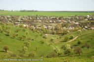 Вільшани з panoramio.com