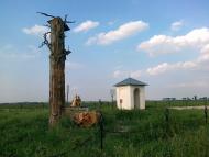 Угнів з panoramio.com