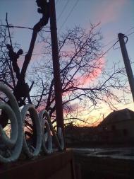 Чепа - Останні фото