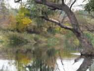 Букине з panoramio.com