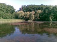 Гоголівка з panoramio.com