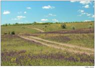 Виноградное - Последние фото