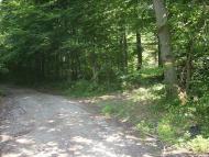 Ярок з panoramio.com