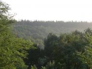 Троїцьке з panoramio.com