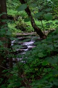 Русилів з panoramio.com