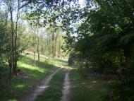 Цукури з panoramio.com