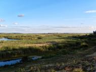 Тутовичі з panoramio.com