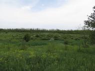 Чигринівка - Останні фото