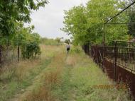 Мангуш - Останні фото