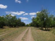 Осокорівка з panoramio.com