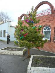 Троїцьке з panoramio.com