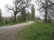 Тросник з panoramio.com