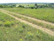 Торське з panoramio.com