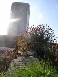 Свидники з panoramio.com